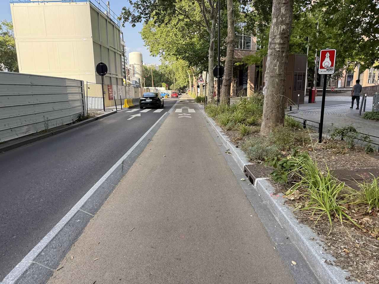 Piste cyclable séparée de la chaussée par une bordure et une haie plantée, avenue Gambetta à Courbevoie, sous les platanes, un soir d'été.