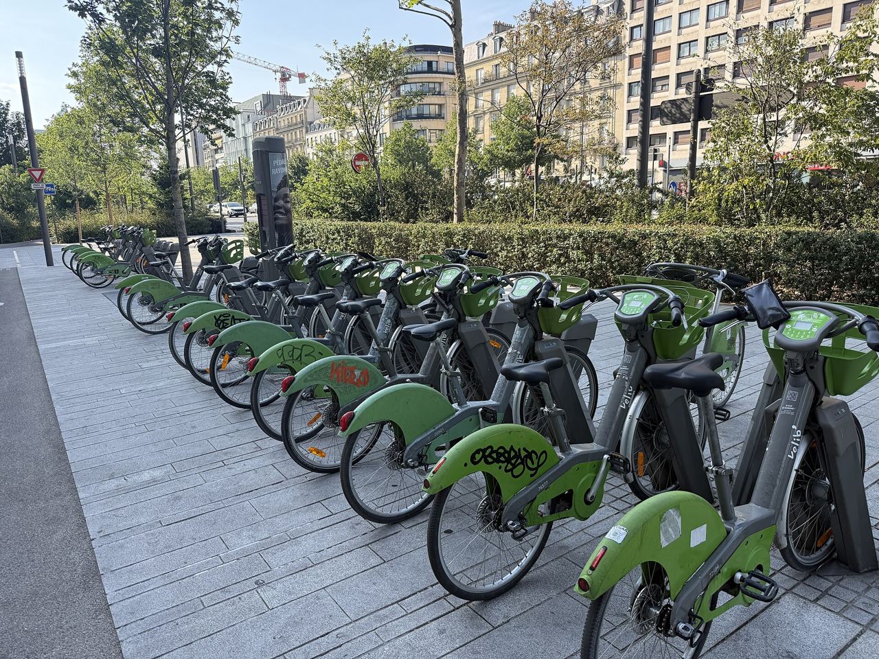Station Vélib' Charles de Gaulle - Sablons à Neuilly-sur-Seine : une rangée de vélos électriques verts à leurs bornettes, le long d'une haie, sur un trottoir en dalles.