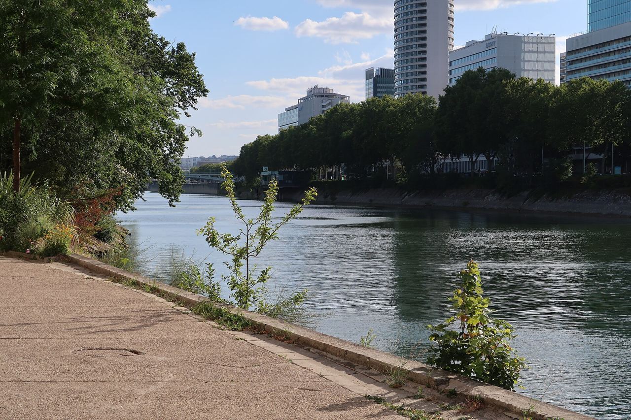 Chemin au bord de la Seine sur l'île de Puteaux, avec la rive arborée du quai de Dion-Bouton et les tours de La Défense en face.